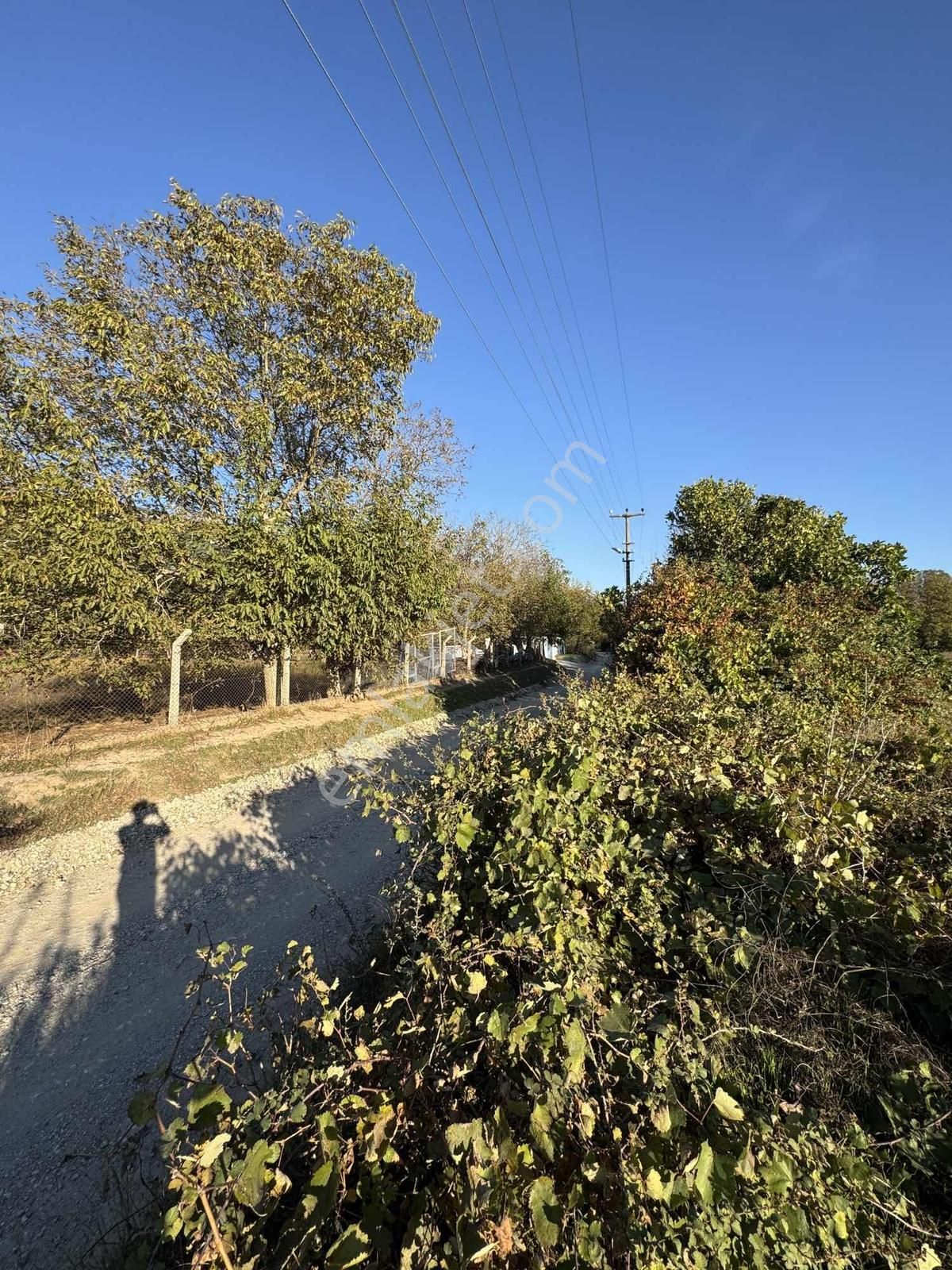 Muğla Menteşe Düğerek Secenin En Güzel Yolunda 3.714 M2 Satılık - Görsel 9