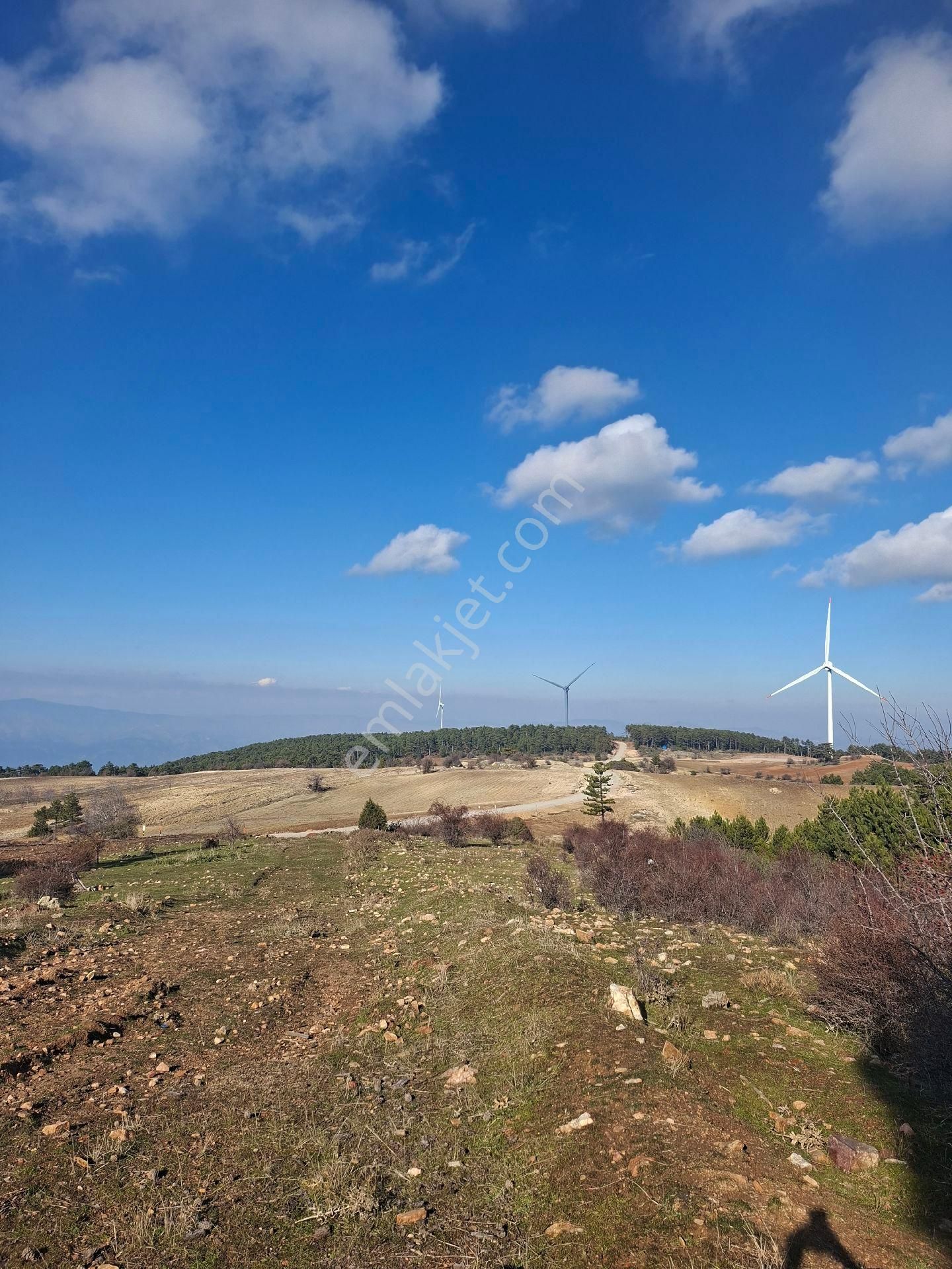 Karacasu Hacıhıdırlar Ruzgar Enerjı Santralı Icınde 55 Donum Arazı - Görsel 2