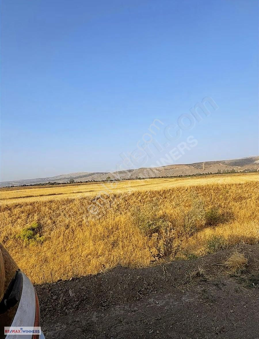 Afyon Dinar Akgün Köyünde Satılık Tarla 11.100m2 - Görsel 17