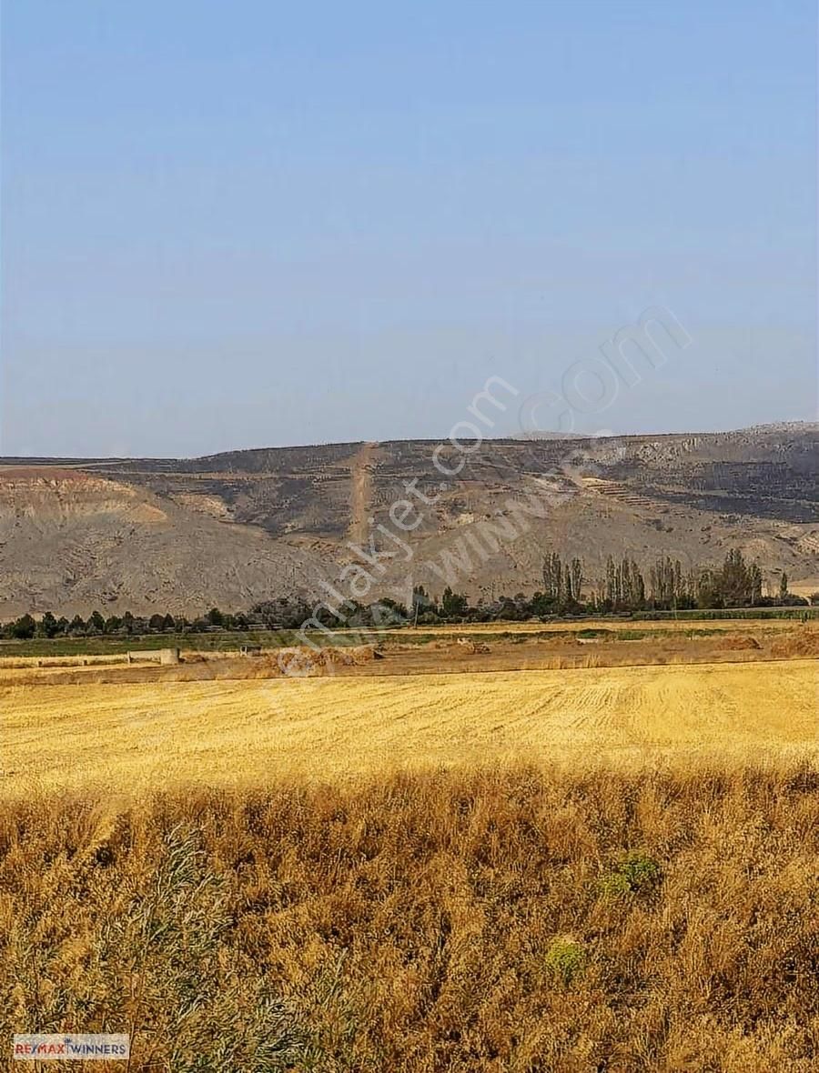 Afyon Dinar Akgün Köyünde Satılık Tarla 11.100m2 - Görsel 19