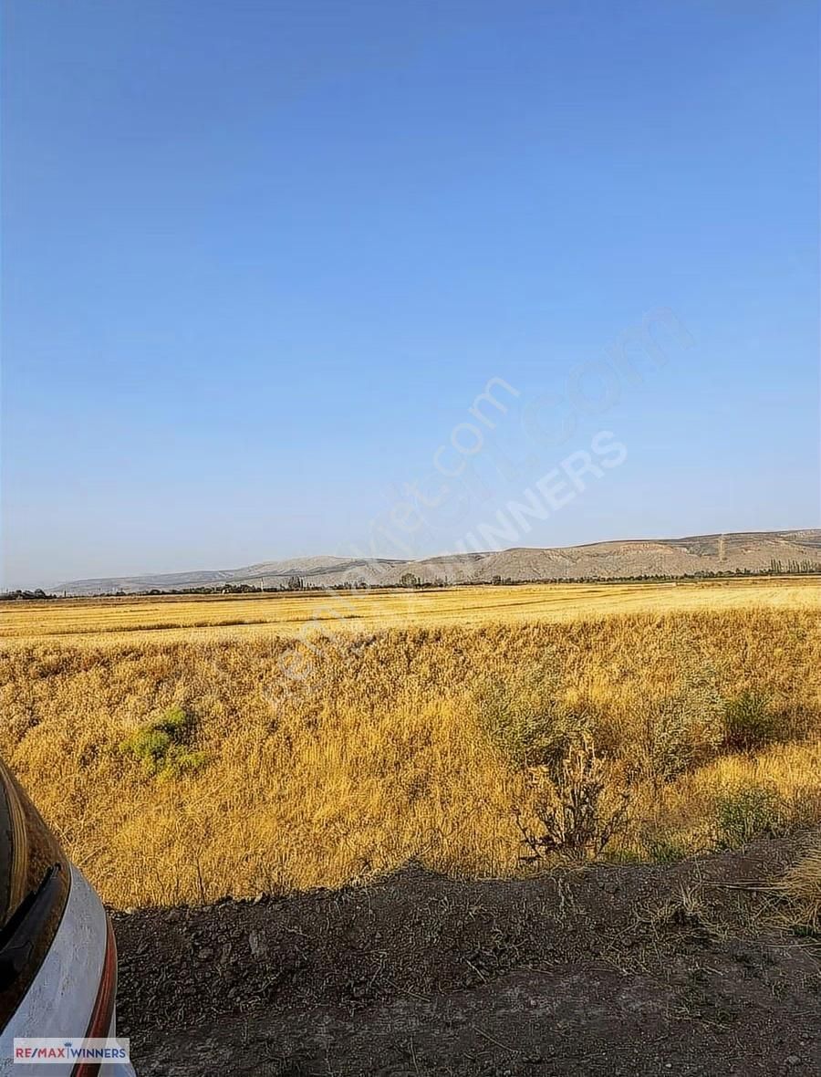 Afyon Dinar Akgün Köyünde Satılık Tarla 11.100m2 - Görsel 8