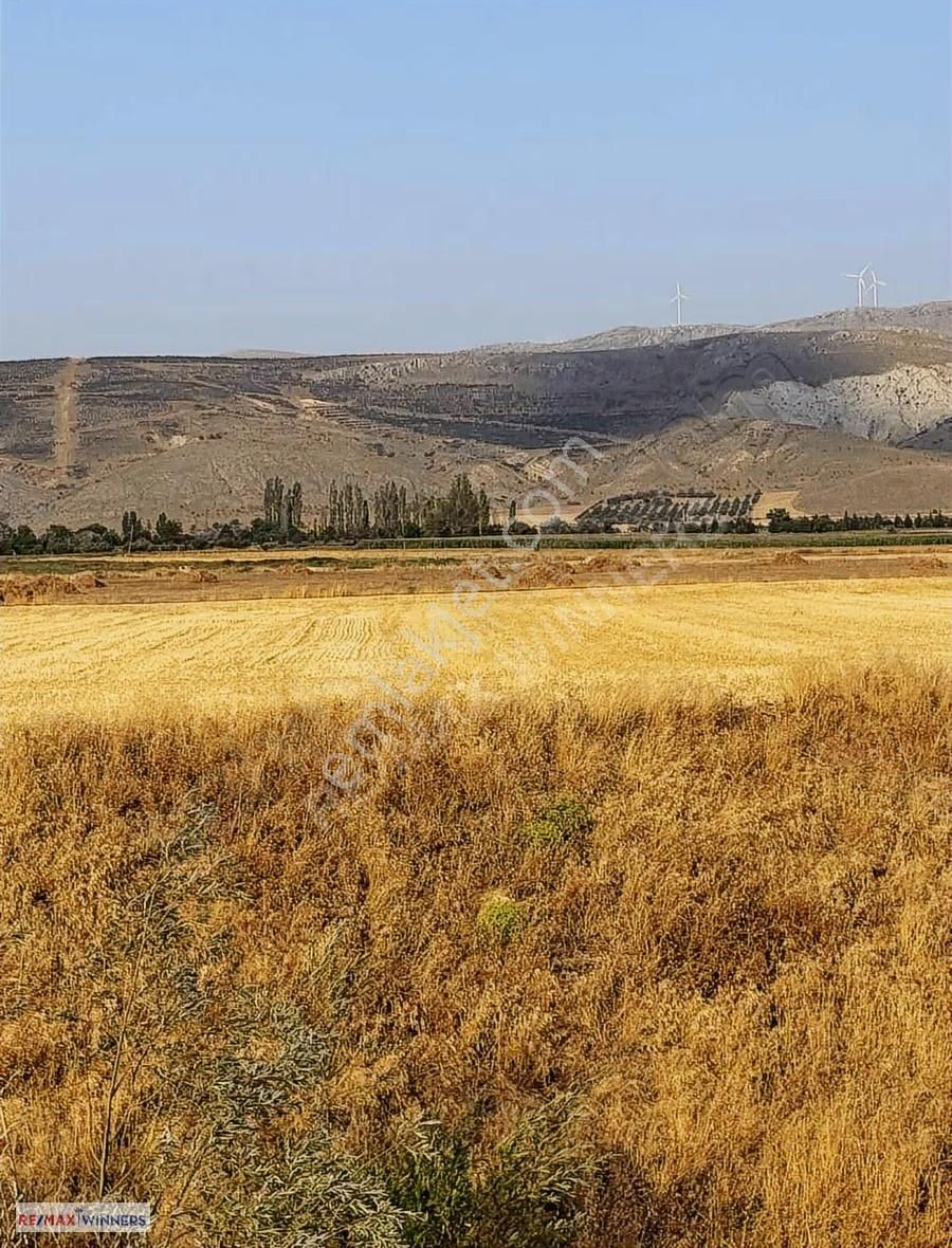 Afyon Dinar Akgün Köyünde Satılık Tarla 11.100m2 - Görsel 11