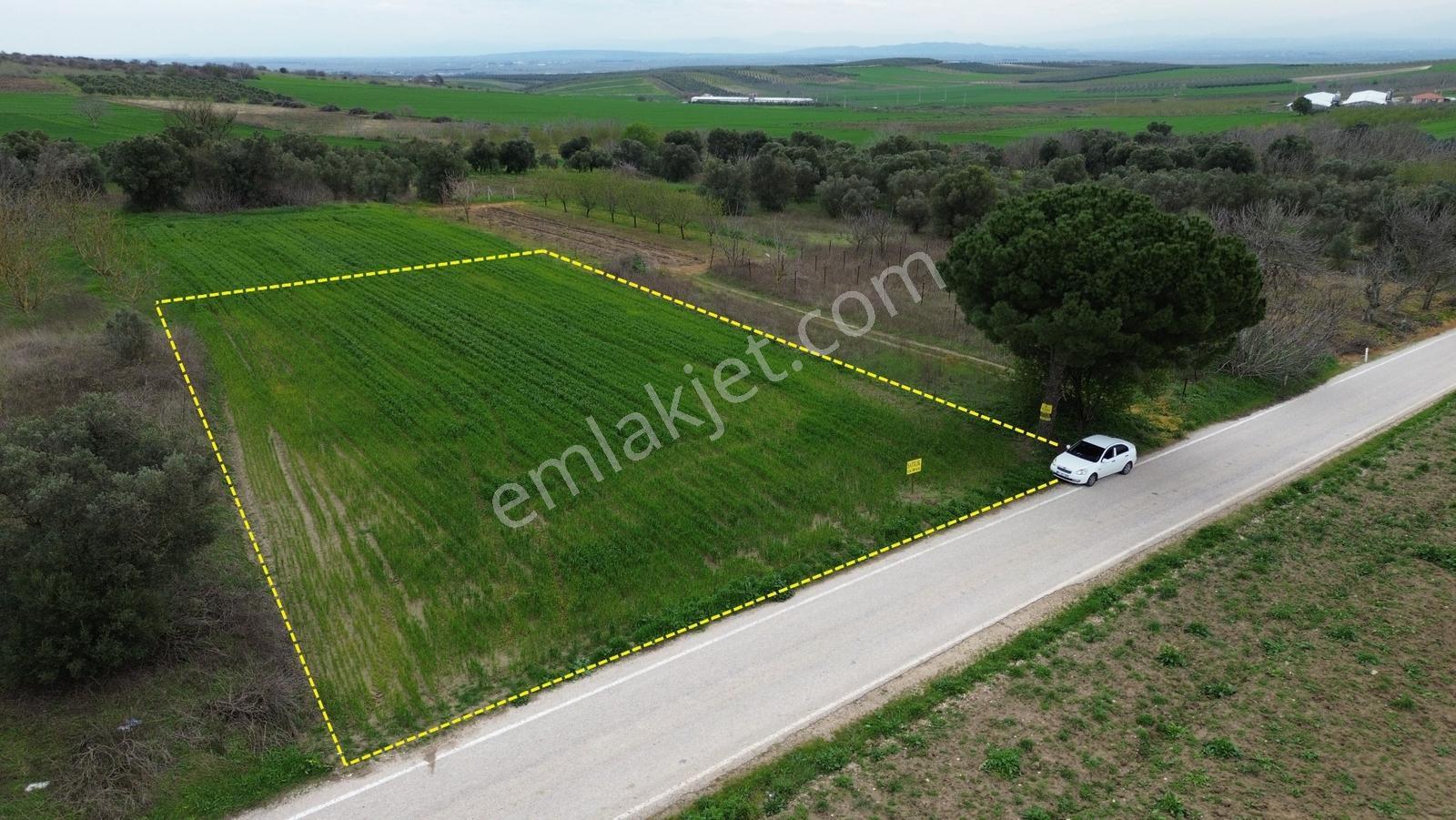 Sevinç'ten 32 Metre Asfalt Cepheli Yerleşim Yakını Satılık Arazi - Görsel 15