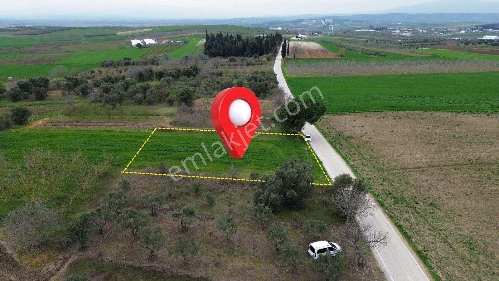 Sevinç'ten 32 Metre Asfalt Cepheli Yerleşim Yakını Satılık Arazi - Görsel 32