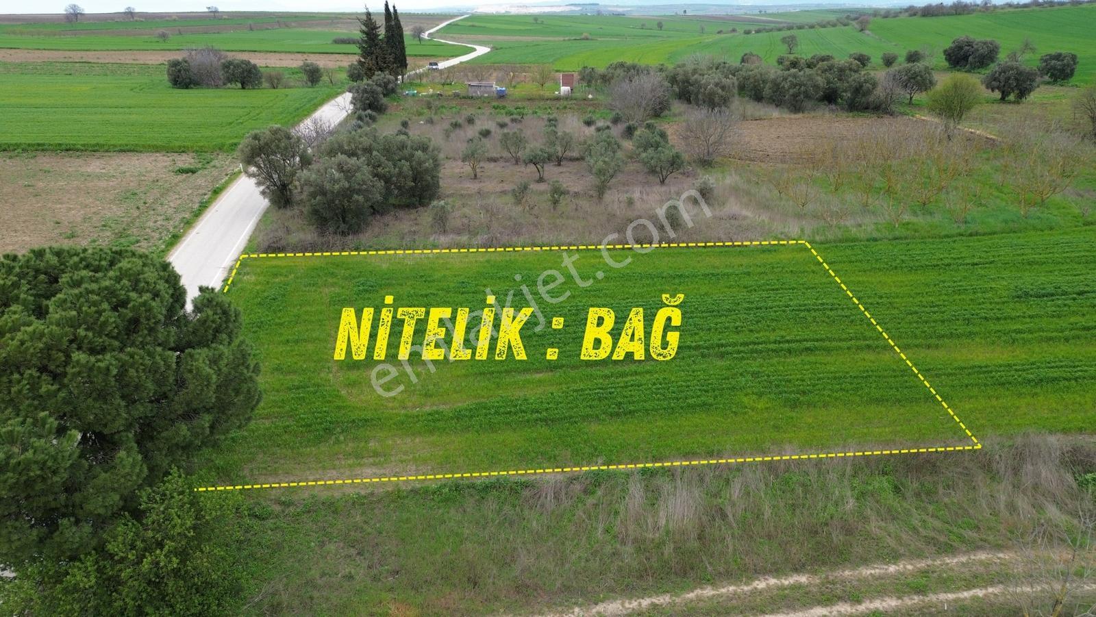 Sevinç'ten 32 Metre Asfalt Cepheli Yerleşim Yakını Satılık Arazi - Görsel 13