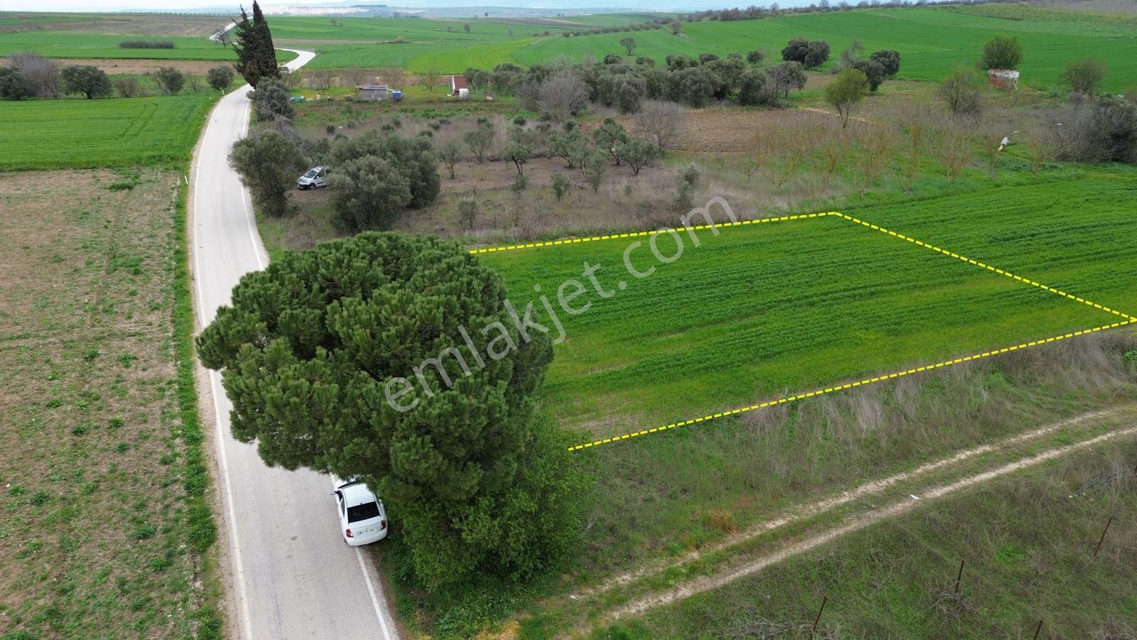 Sevinç'ten 32 Metre Asfalt Cepheli Yerleşim Yakını Satılık Arazi - Görsel 29