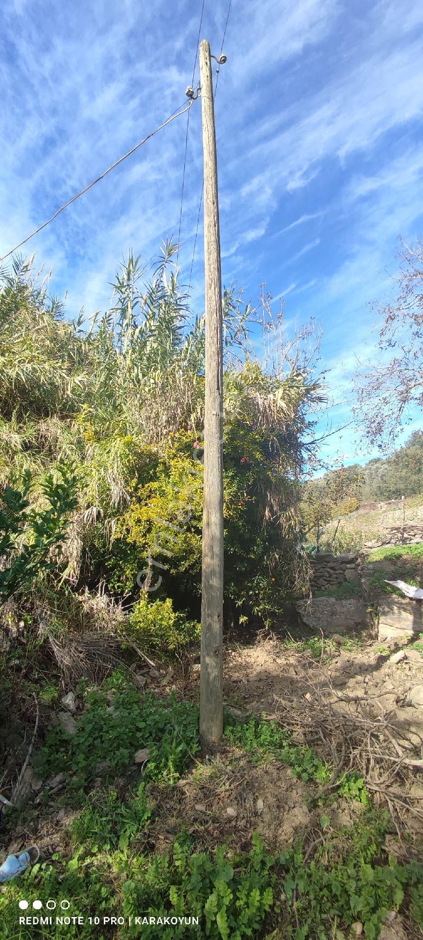 Milas Alaçam Köyünde Elektrik Ve Suyu Olan Satılık Bahçe - Görsel 10