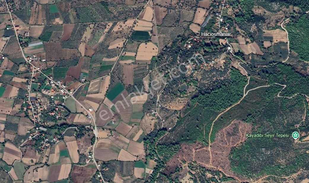 Goldhouse Dan Saklıkent Yoluna Yakın Müstakil Tapulu Tarla
