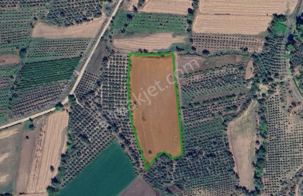 Goldhouse Dan Saklıkent Yoluna Yakın Müstakil Tapulu Tarla - Görsel 2