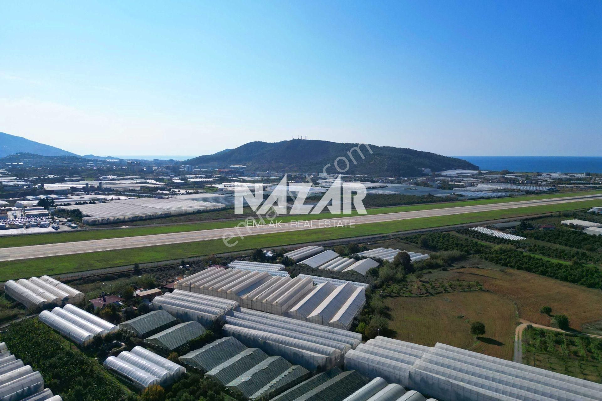 Gazipaşa Sarıağaç’ta Satılık 5.177 M² Tarla, Sera Ve 2+1 Ev - Görsel 2