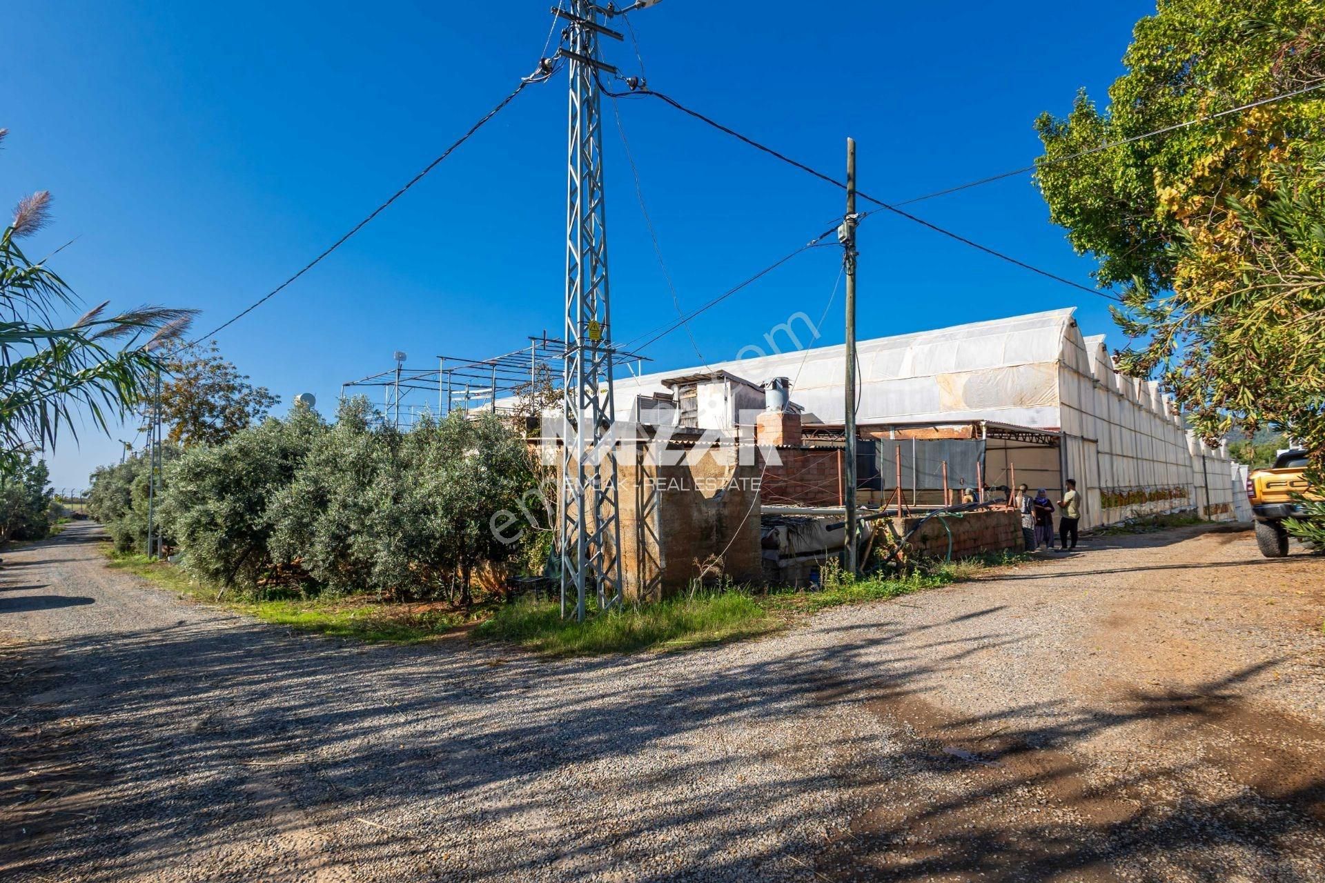 Gazipaşa Sarıağaç’ta Satılık 5.177 M² Tarla, Sera Ve 2+1 Ev - Görsel 19