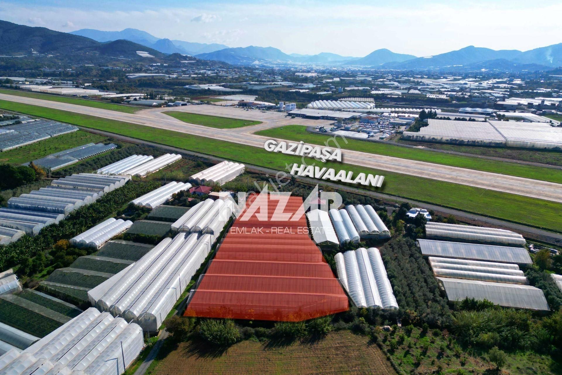 Gazipaşa Sarıağaç’ta Satılık 5.177 M² Tarla, Sera Ve 2+1 Ev - Görsel 3