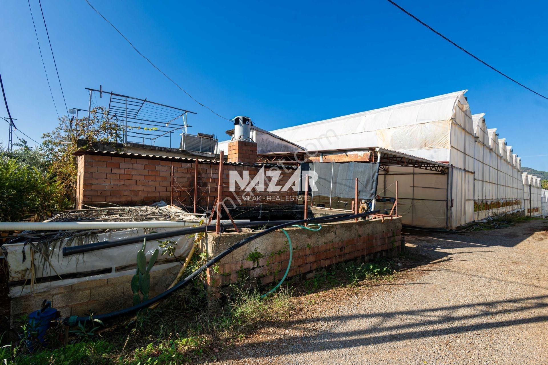 Gazipaşa Sarıağaç’ta Satılık 5.177 M² Tarla, Sera Ve 2+1 Ev - Görsel 5