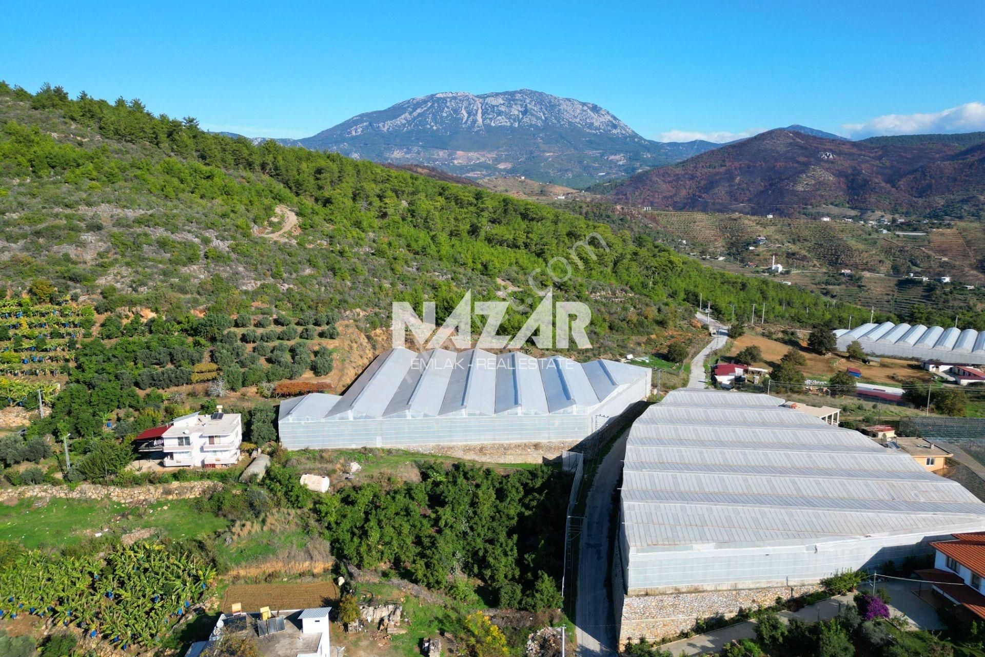 Alanya Seki’de Satılık 1.682 M² Hisseli Tarla - Görsel 17