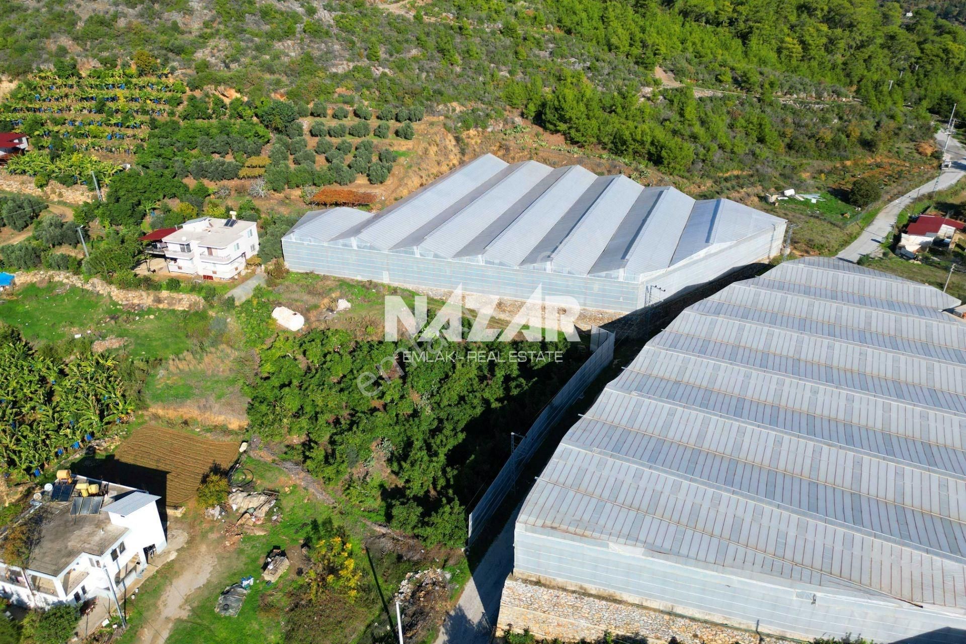 Alanya Seki’de Satılık 1.682 M² Hisseli Tarla - Görsel 18