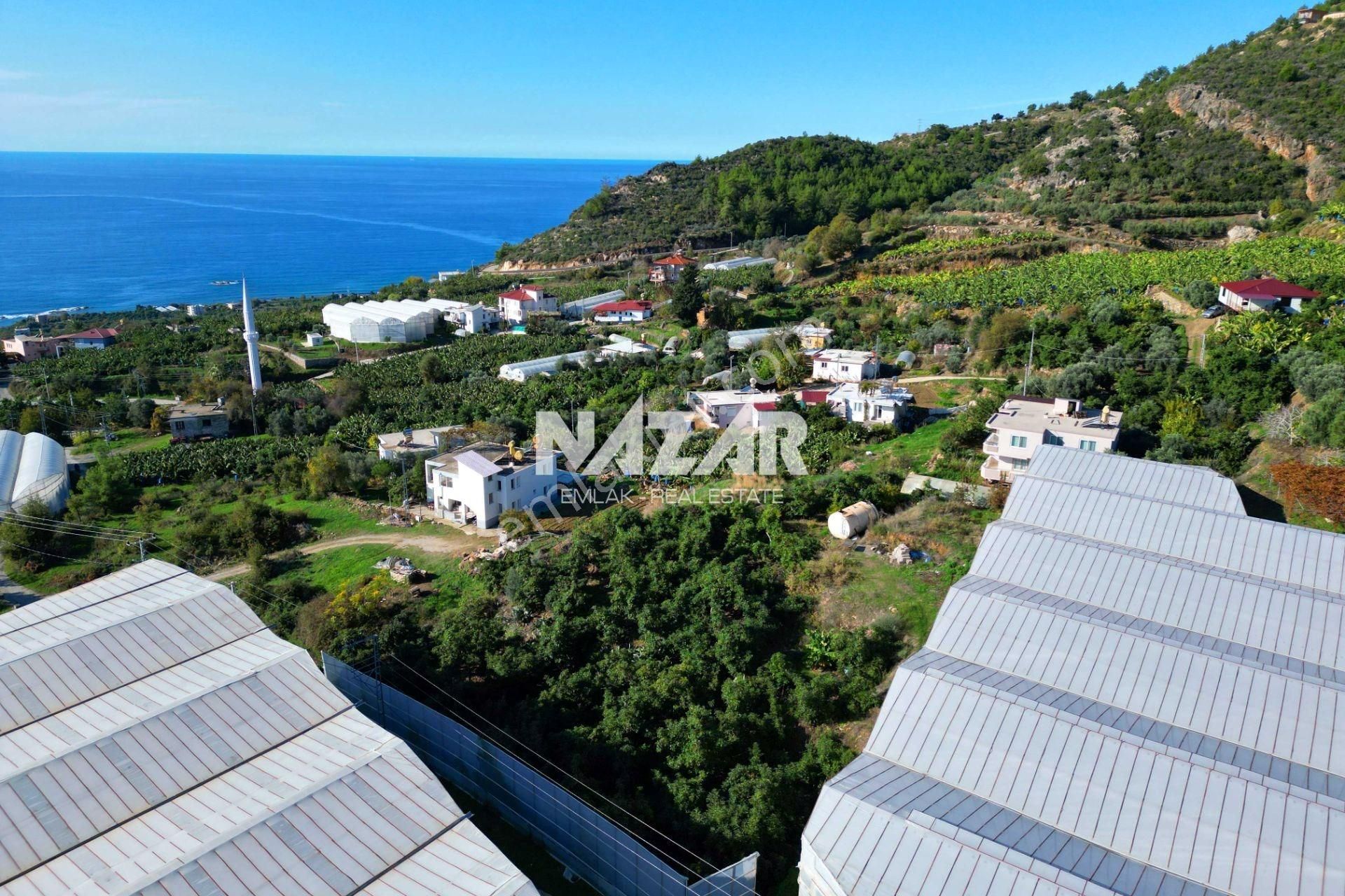 Alanya Seki’de Satılık 1.682 M² Hisseli Tarla - Görsel 7