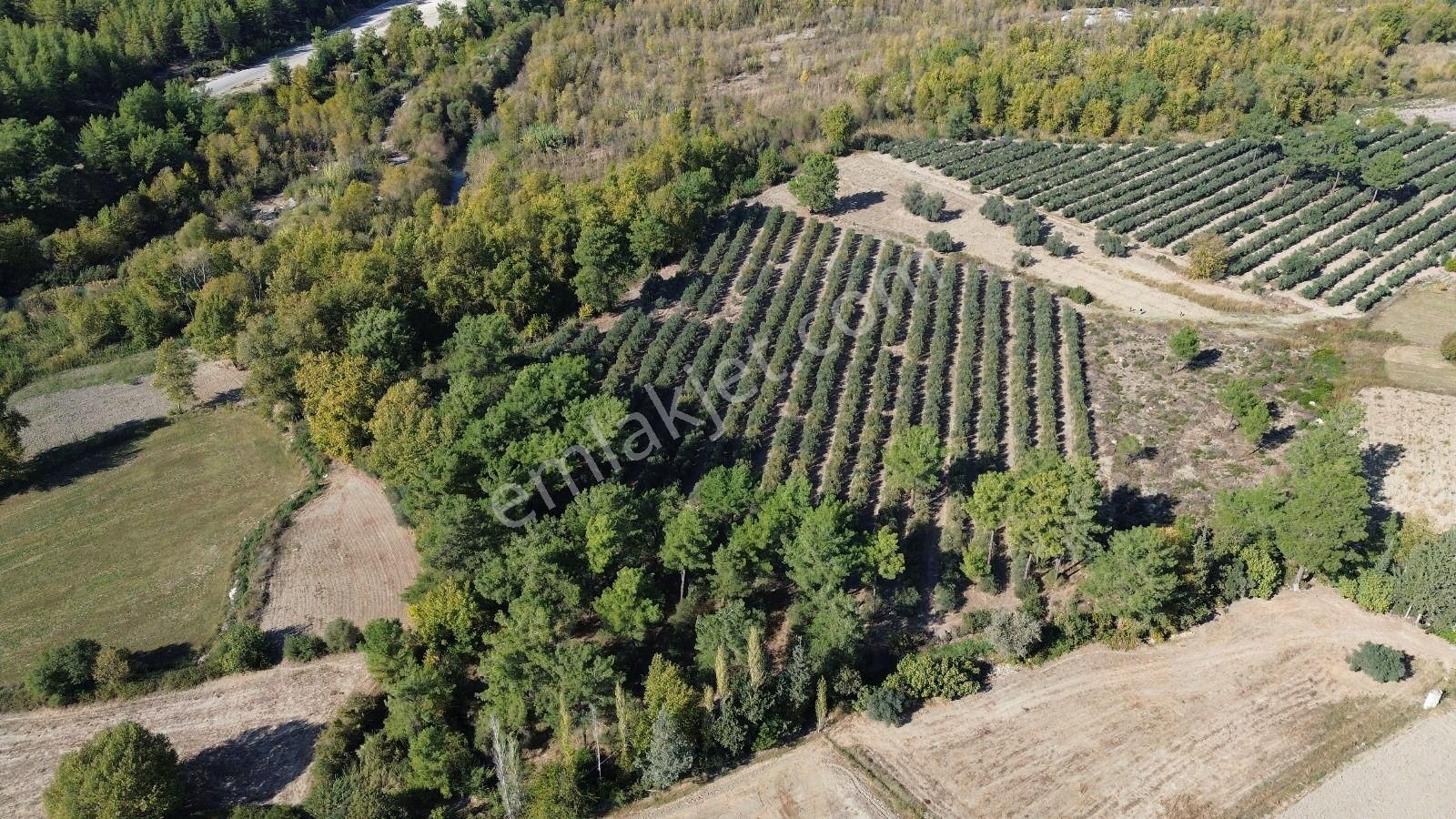 Goldhouse Dan Satılık Tarla Ceylan Da 19.260 M² Müstakil Tapulu - Görsel 5