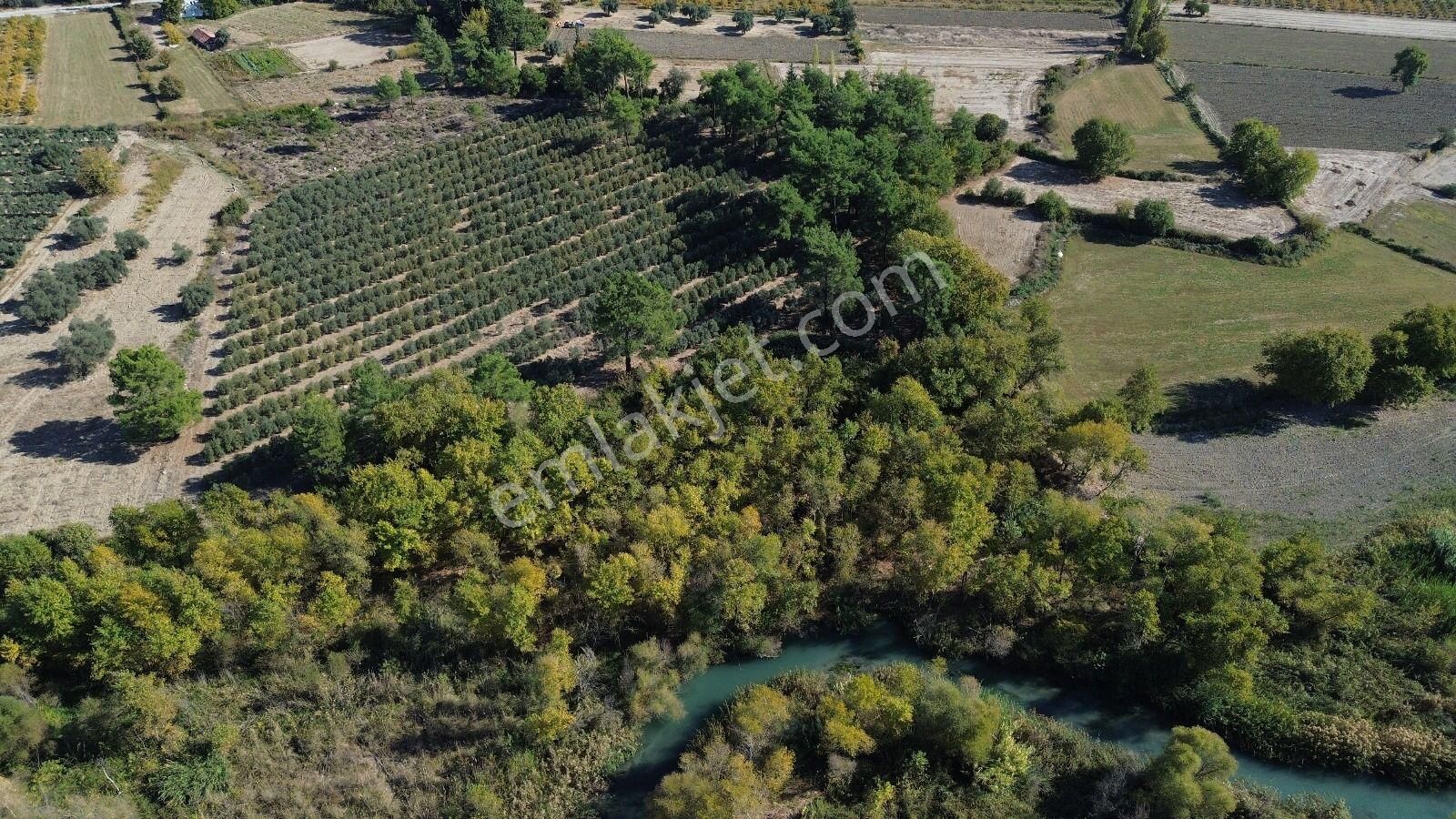 Goldhouse Dan Satılık Tarla Ceylan Da 19.260 M² Müstakil Tapulu - Görsel 9