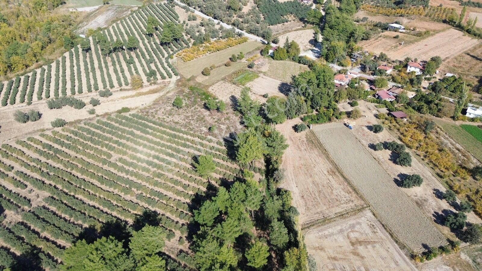 Goldhouse Dan Satılık Tarla Ceylan Da 19.260 M² Müstakil Tapulu - Görsel 8