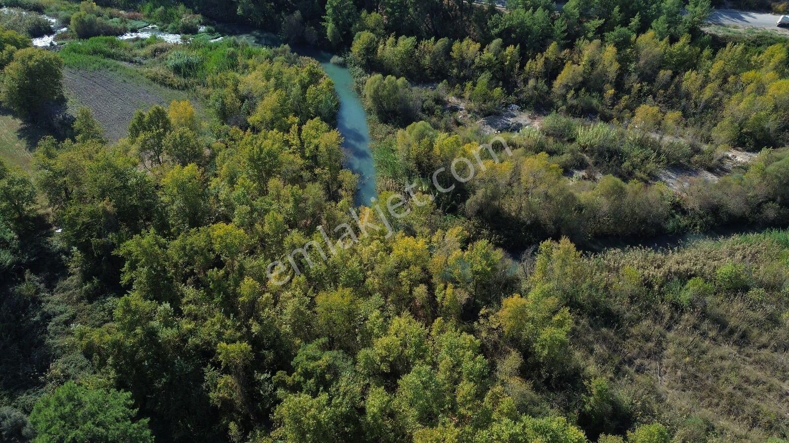 Goldhouse Dan Satılık Tarla Ceylan Da 19.260 M² Müstakil Tapulu - Görsel 12