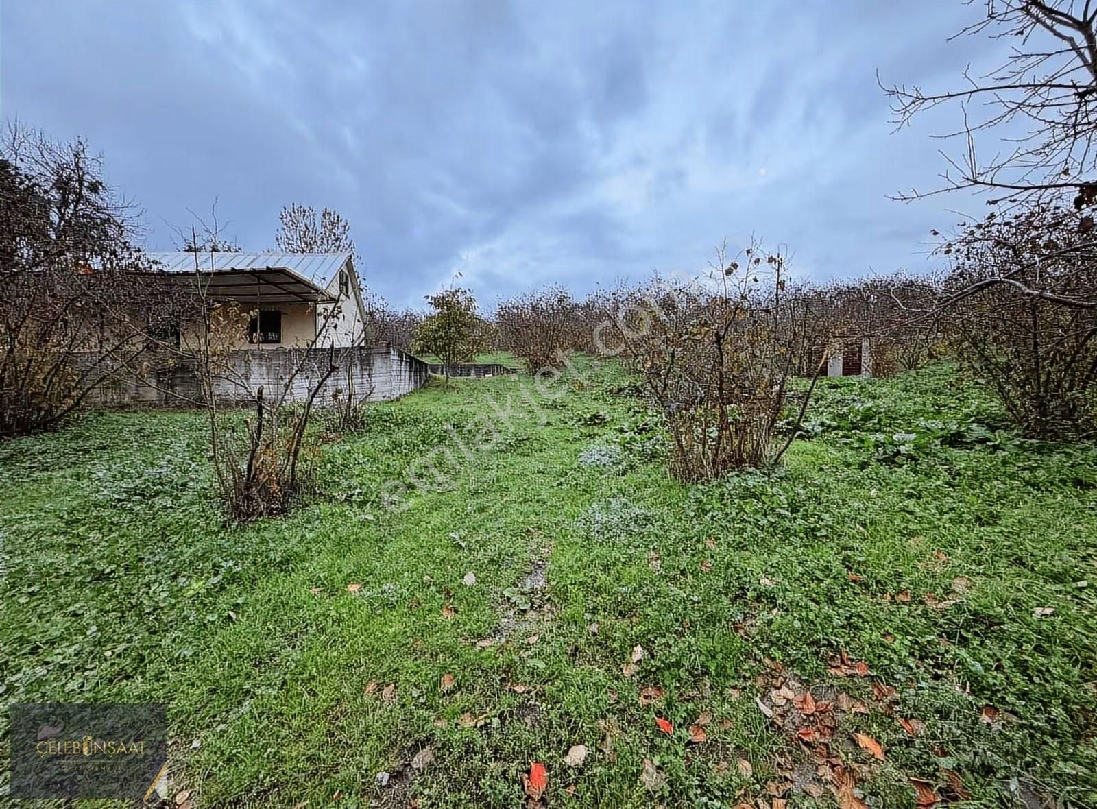 Sakarya Kocaali Hızar Mahallede Ana Yola Cephe Fındık Bahçesi - Görsel 11