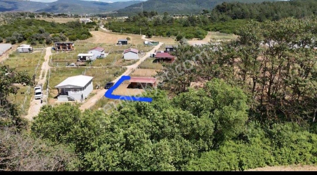 Ana Caddeye Denize Yakın - Görsel 4