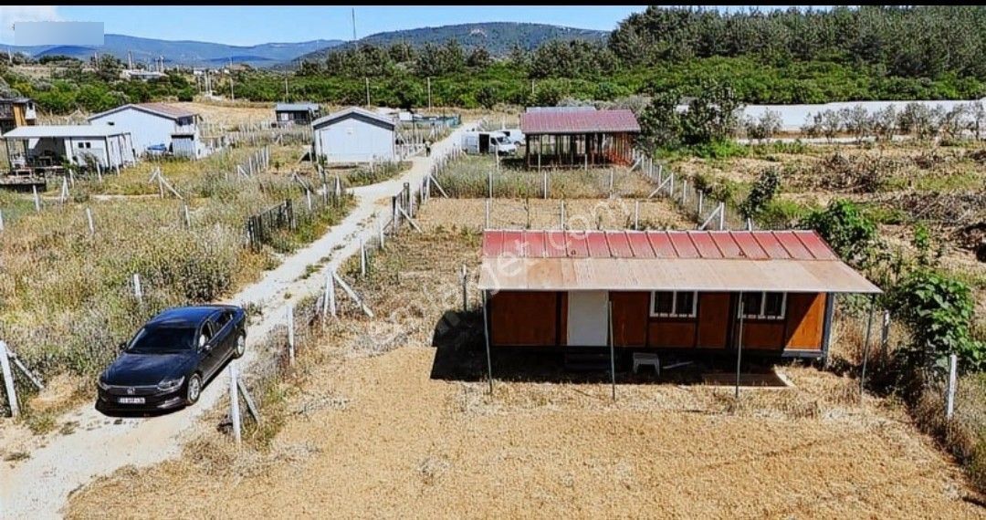 Ana Caddeye Denize Yakın