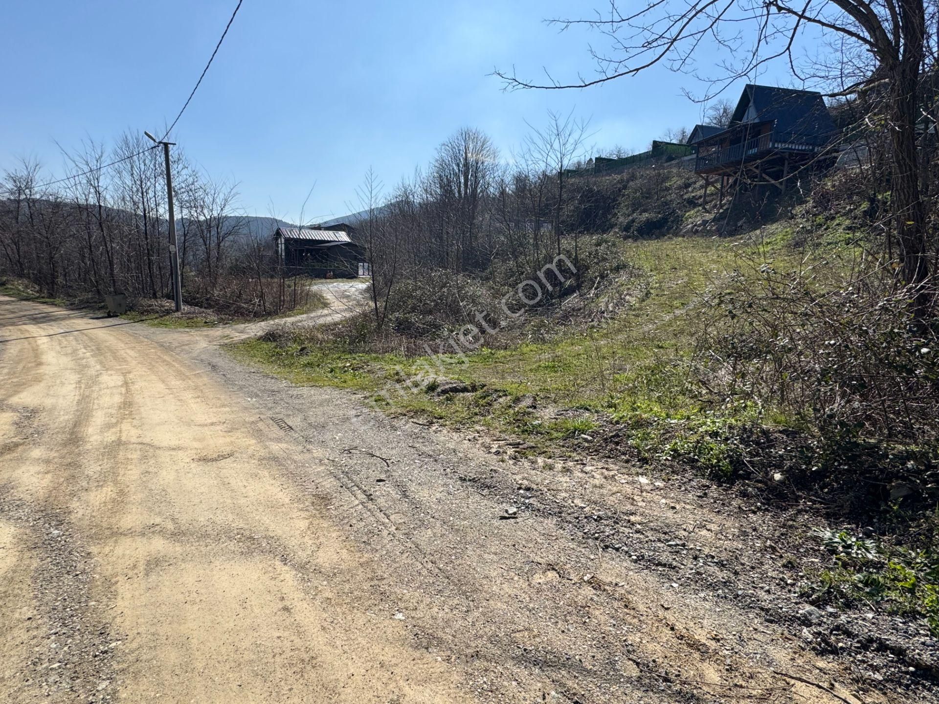Sapanca Şükriye’de 694 M2 Satılık Bahçe İçinde Konteyner - Görsel 5