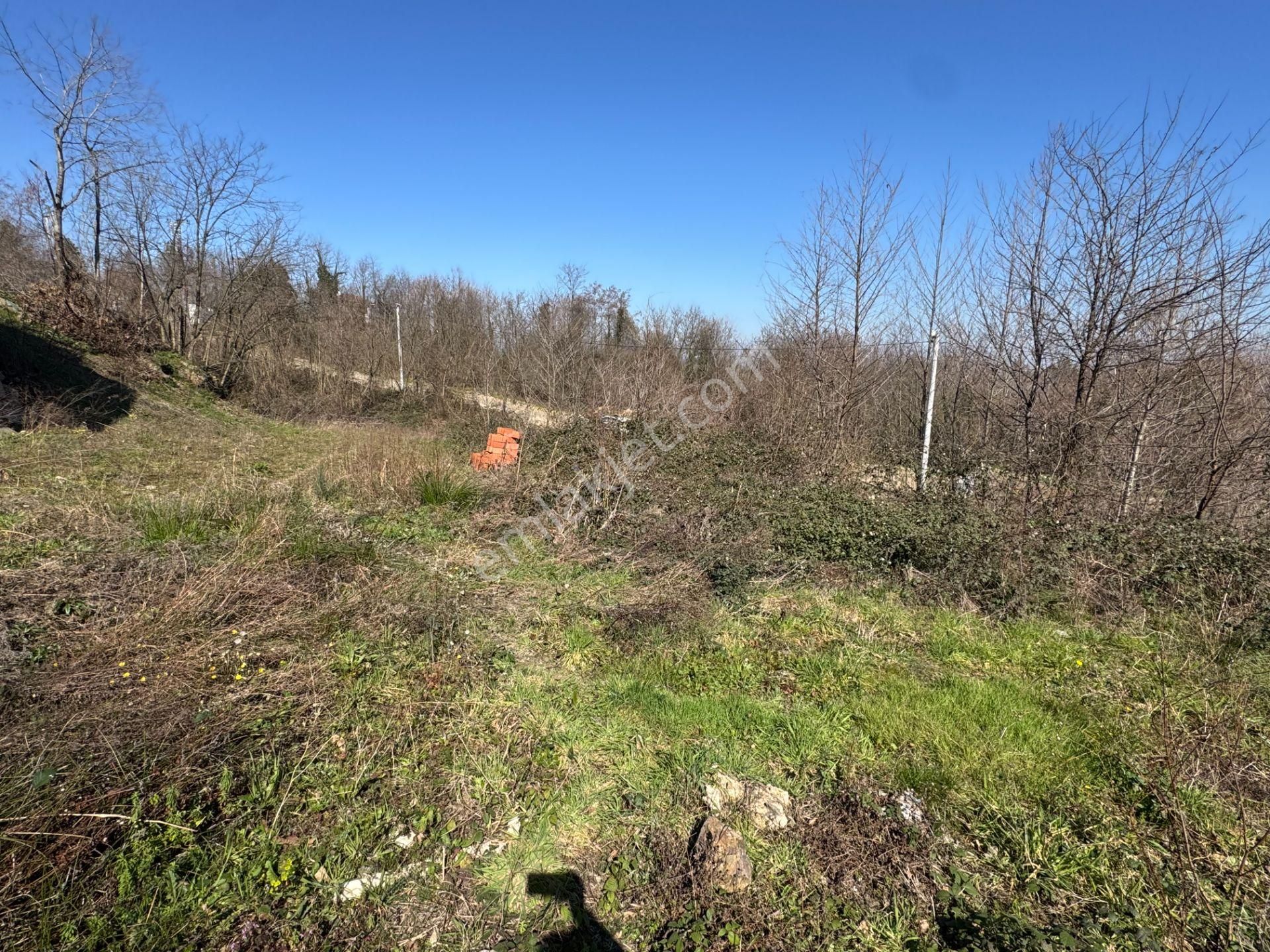 Sapanca Şükriye’de 694 M2 Satılık Bahçe İçinde Konteyner - Görsel 20