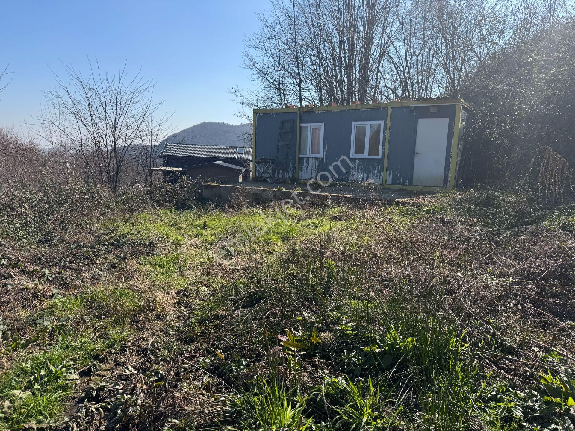 Sapanca Şükriye’de 694 M2 Satılık Bahçe İçinde Konteyner