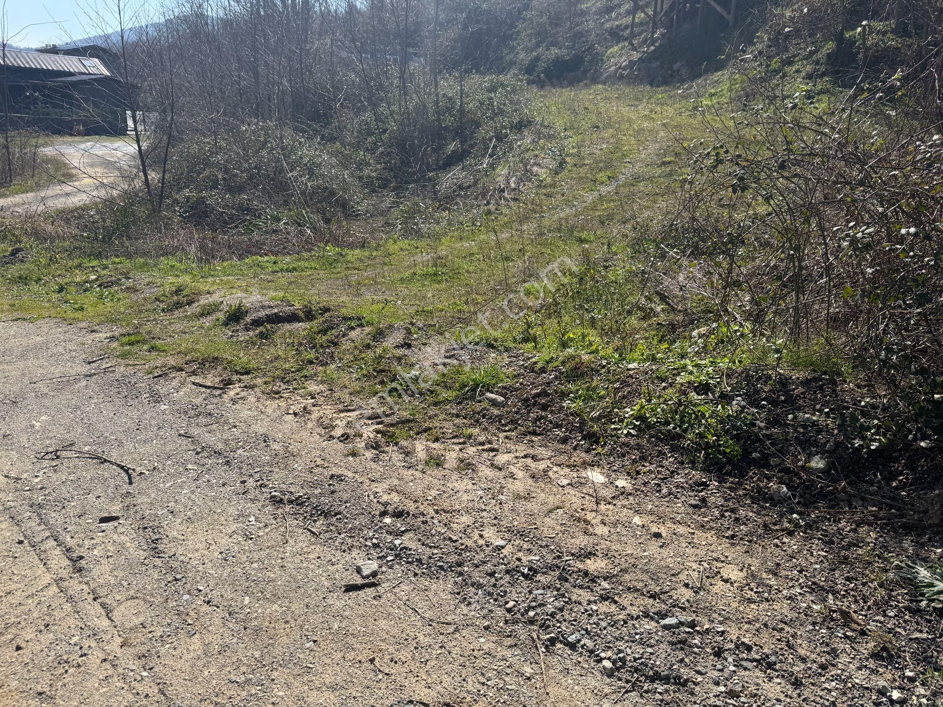 Sapanca Şükriye’de 694 M2 Satılık Bahçe İçinde Konteyner - Görsel 24