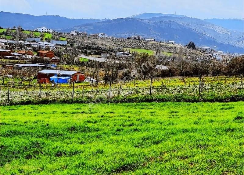 Çanakkale/merkez/ışıklar Koyu Yatırımlık Kooperatif Hisseleri - Görsel 3