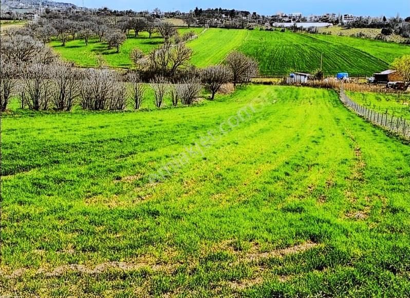 Çanakkale/merkez/ışıklar Koyu Yatırımlık Kooperatif Hisseleri - Görsel 7