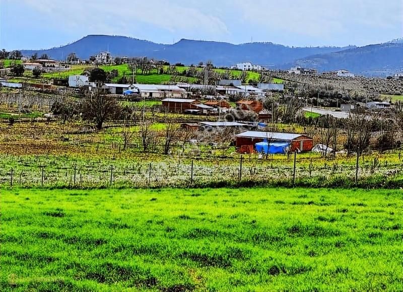 Çanakkale/merkez/ışıklar Koyu Yatırımlık Kooperatif Hisseleri - Görsel 15