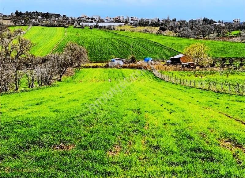 Çanakkale/merkez/ışıklar Koyu Yatırımlık Kooperatif Hisseleri - Görsel 13