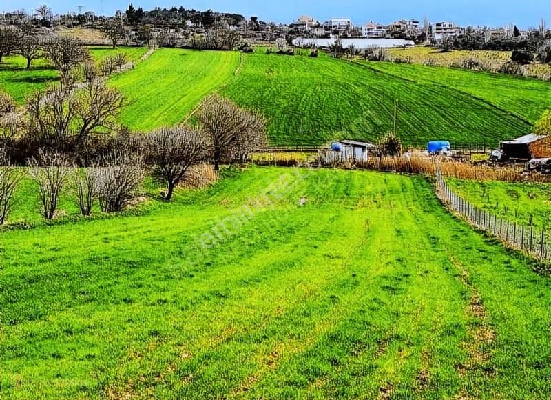 Çanakkale/merkez/ışıklar Koyu Yatırımlık Kooperatif Hisseleri - Görsel 6