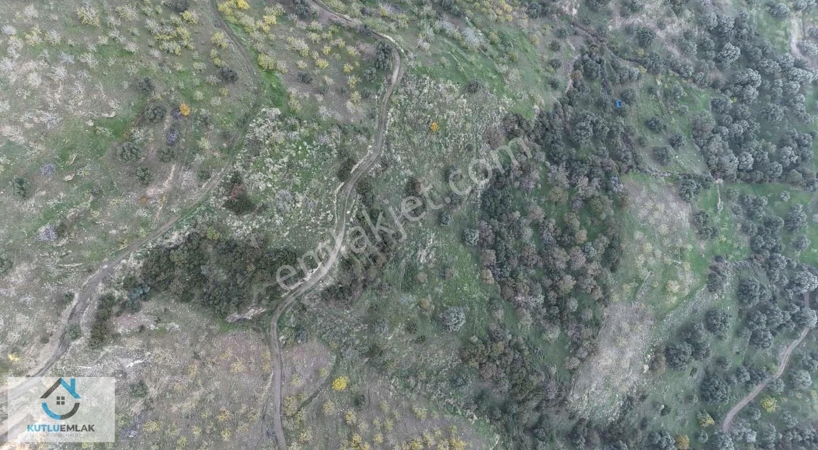 Bozyurt Mevki Eycellide 5,5 Dönüm Kelepir Bahçe - Görsel 5