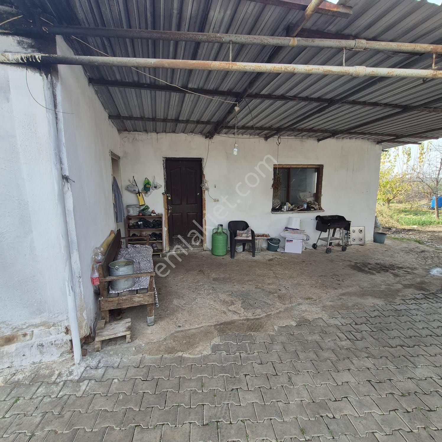 Salihli Kızılavlu'da Satılık Tavuk Çiftliği, Zeytin Ve Üzüm Bağı - Görsel 21