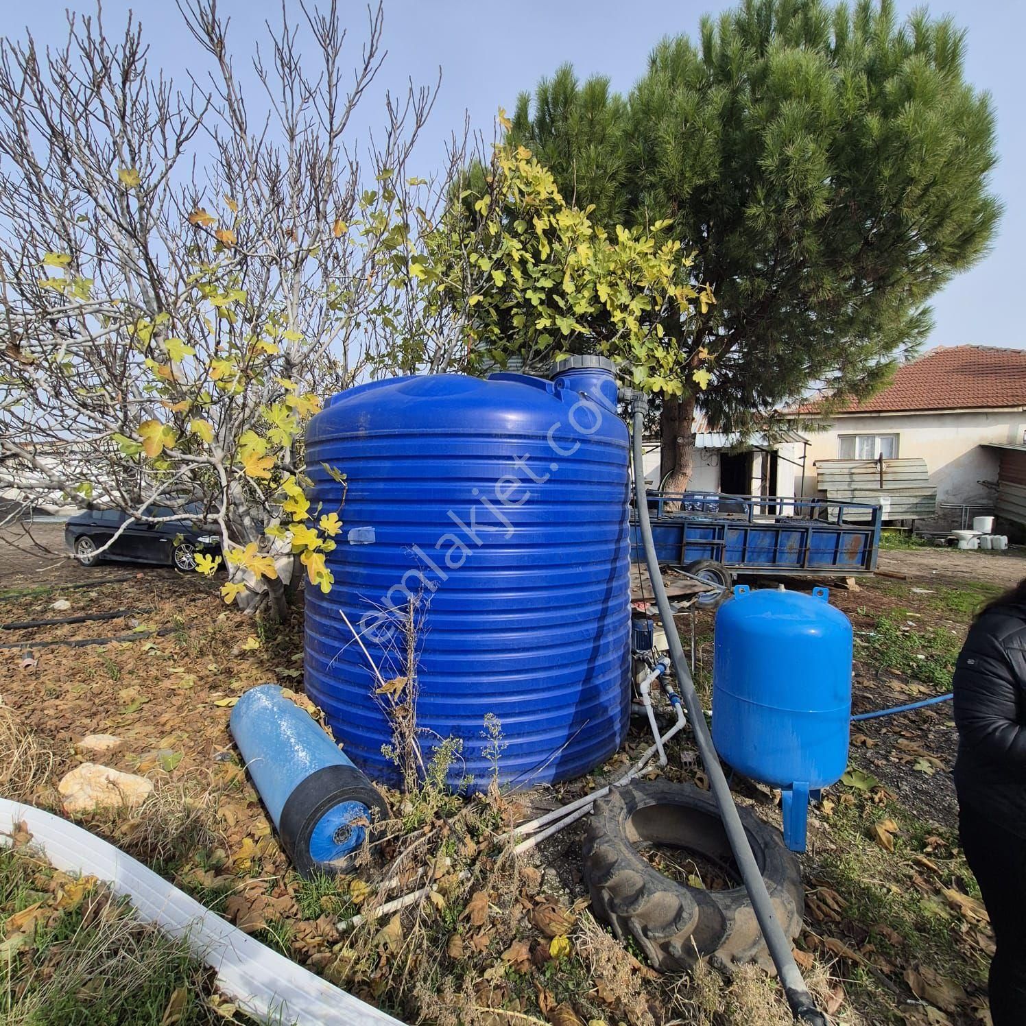 Salihli Kızılavlu'da Satılık Tavuk Çiftliği, Zeytin Ve Üzüm Bağı - Görsel 26