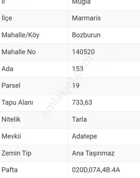 Ebrar&can Adatepe Full Deniz Manzaralı 733 Metrekare Tarlamız - Görsel 3