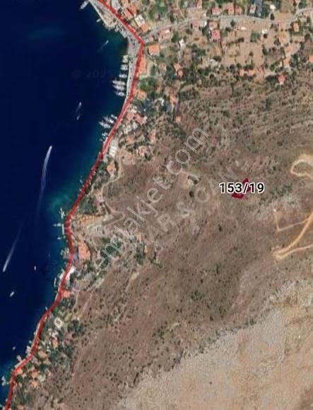 Ebrar&can Adatepe Full Deniz Manzaralı 733 Metrekare Tarlamız - Görsel 2