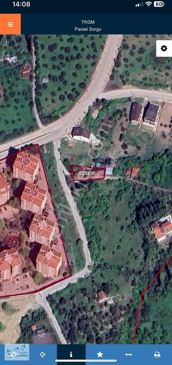 Kent Konutların Yanı Deniz Ve Köprü Manzaralı
