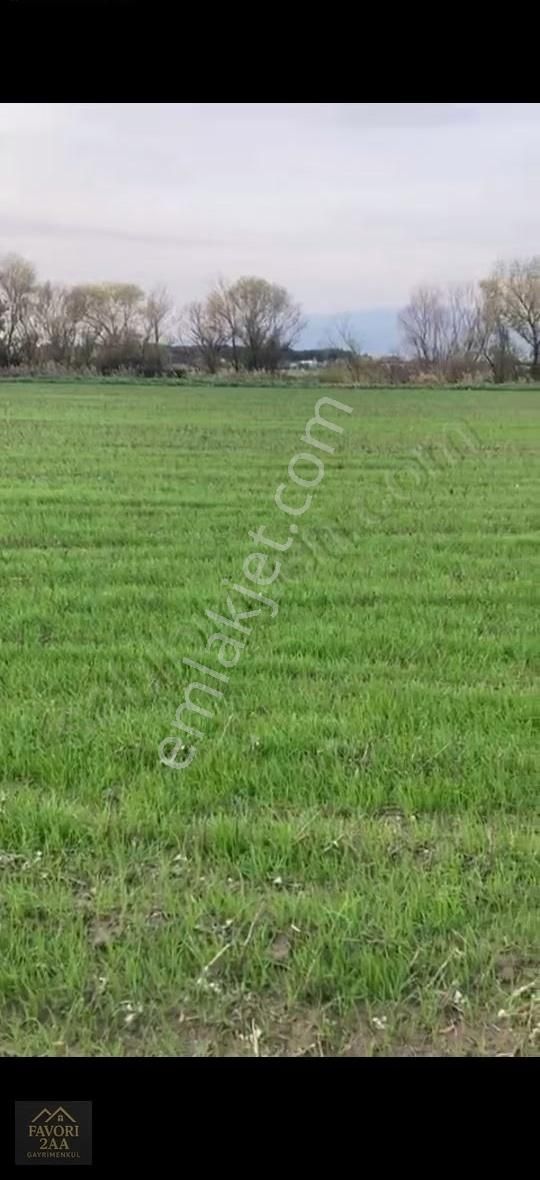 Sindel Mah.bakırçay Kenarı Tarla - Görsel 9