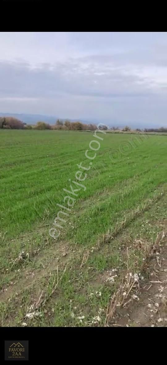 Sindel Mah.bakırçay Kenarı Tarla - Görsel 4