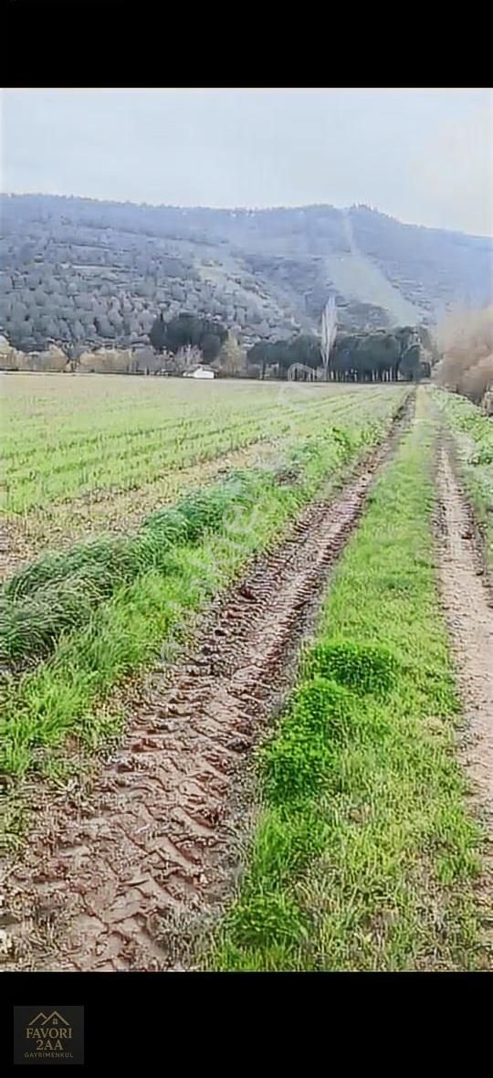 Sindel Mah.bakırçay Kenarı Tarla - Görsel 5