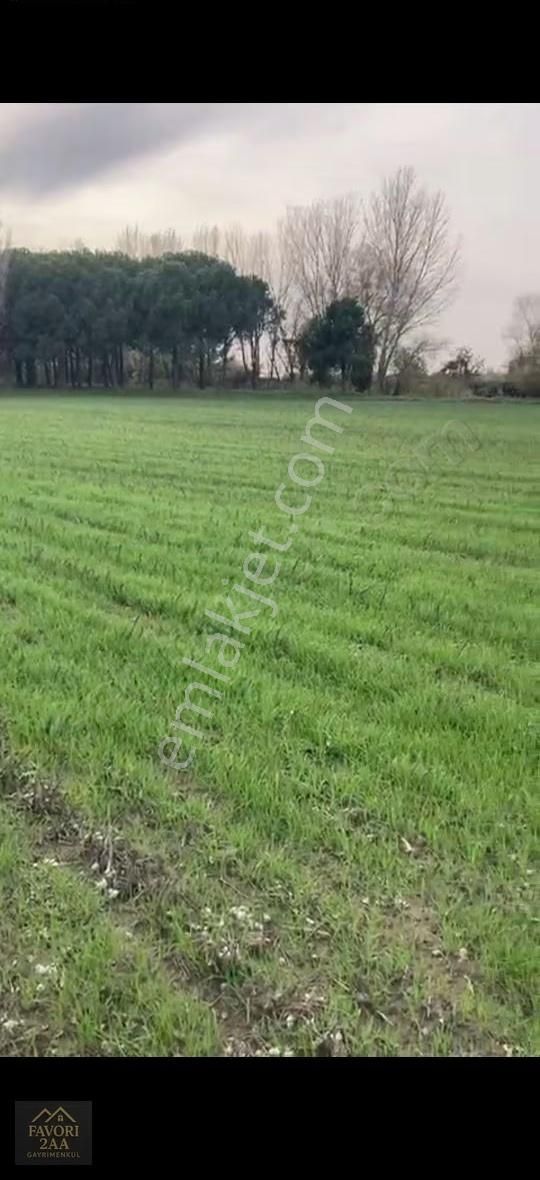 Sindel Mah.bakırçay Kenarı Tarla - Görsel 12