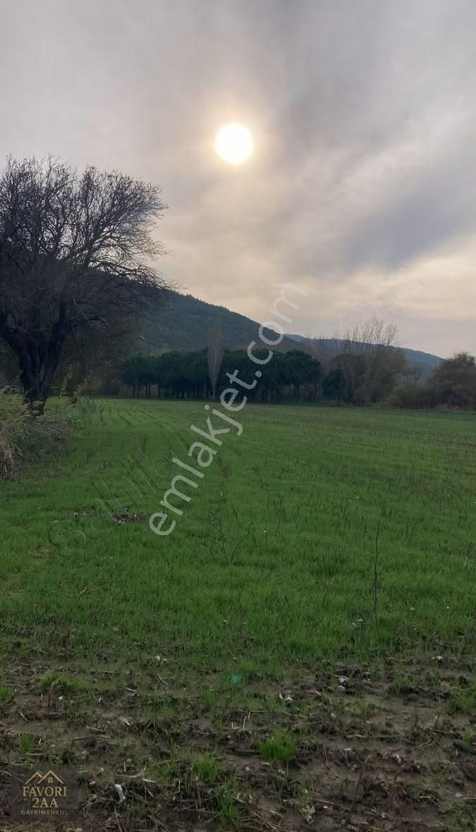 Sindel Mah.bakırçay Kenarı Tarla - Görsel 10