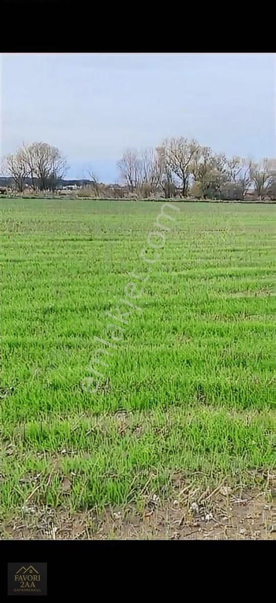 Sindel Mah.bakırçay Kenarı Tarla - Görsel 7
