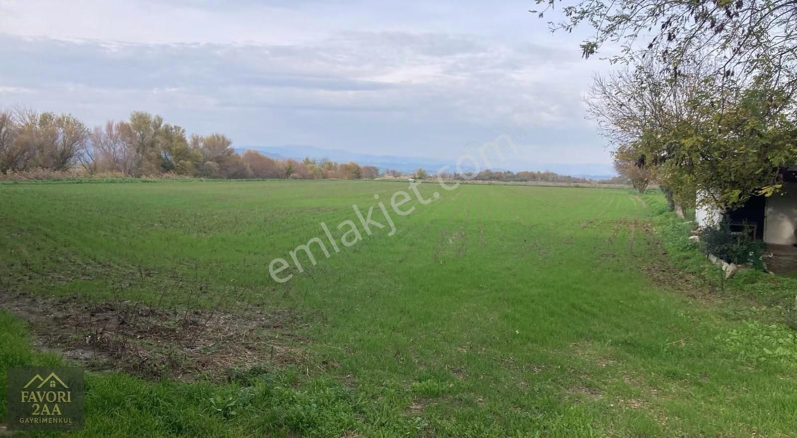 Sindel Mah.bakırçay Kenarı Tarla - Görsel 13