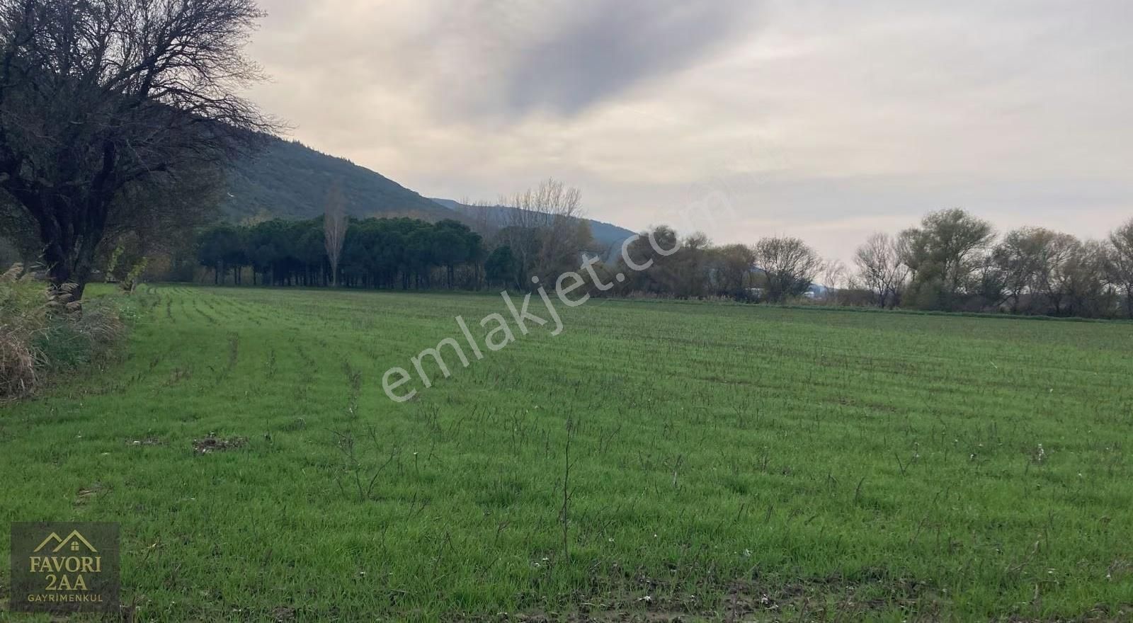 Sindel Mah.bakırçay Kenarı Tarla - Görsel 3